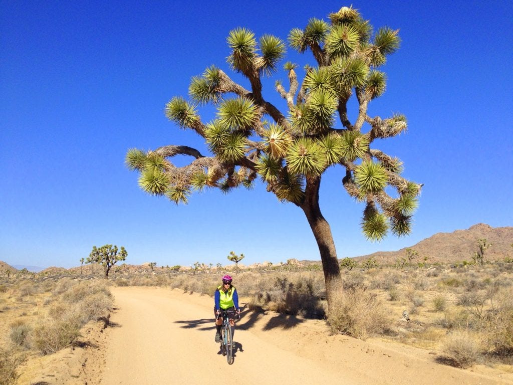 Touring around the park our favorite way.