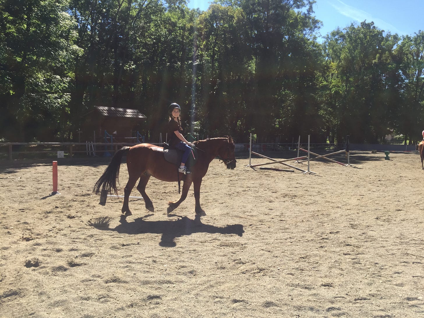 A young girl riding a pony in Thones, France, in an outdoor riding arena surrounded by lush green trees on a sunny day.