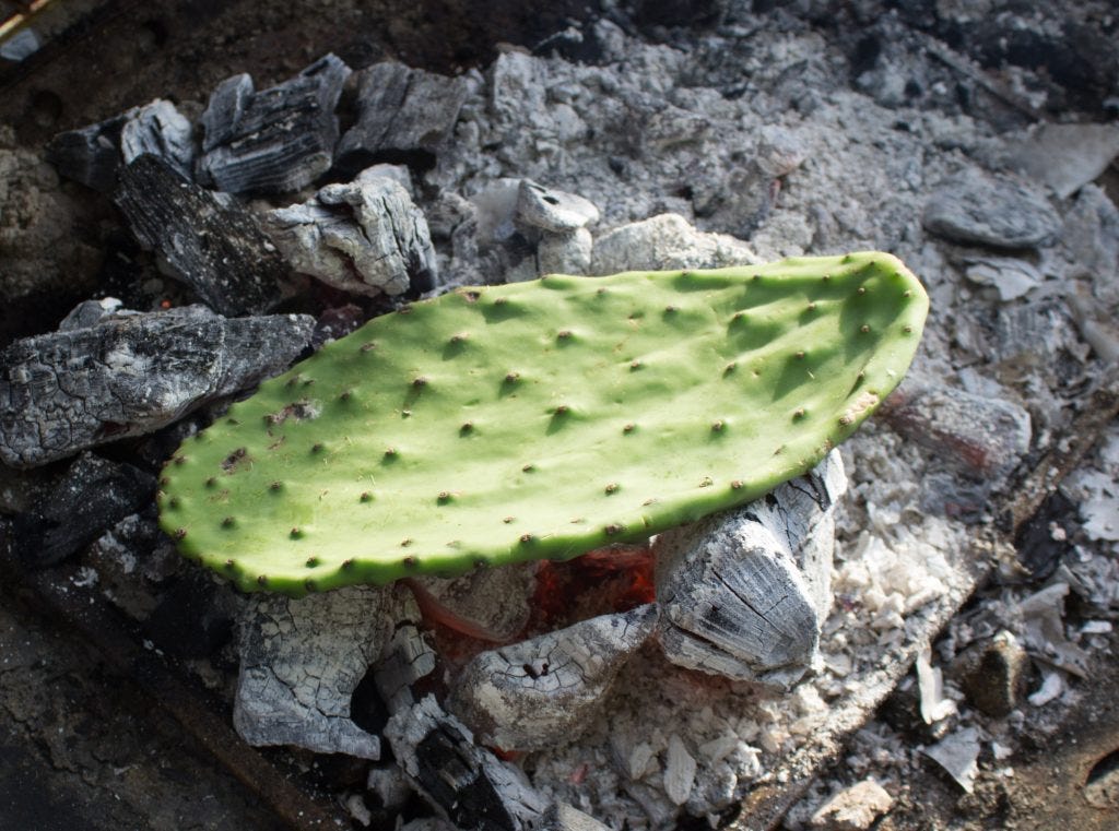 Setting the leaves on the coals for about a minute on each side took care of parbaking and the spines. 