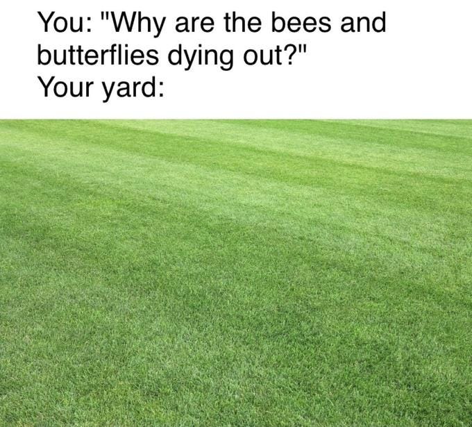 You: "Why are the bees and butterflies dying out?" Your yard: