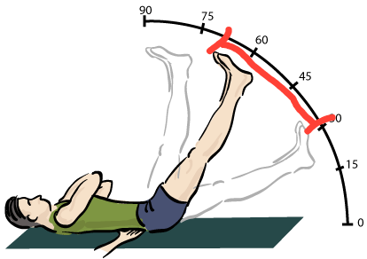 Straight leg raise - Wikipedia