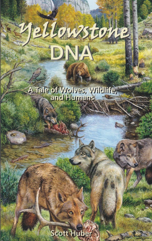 “Yellowstone DNA: A Tale Of Wolves, Wildlife, And Humans”
