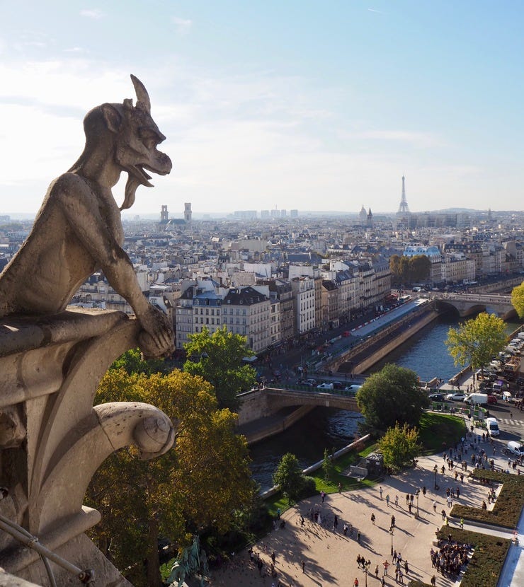 View from the Notre-Dame de Paris