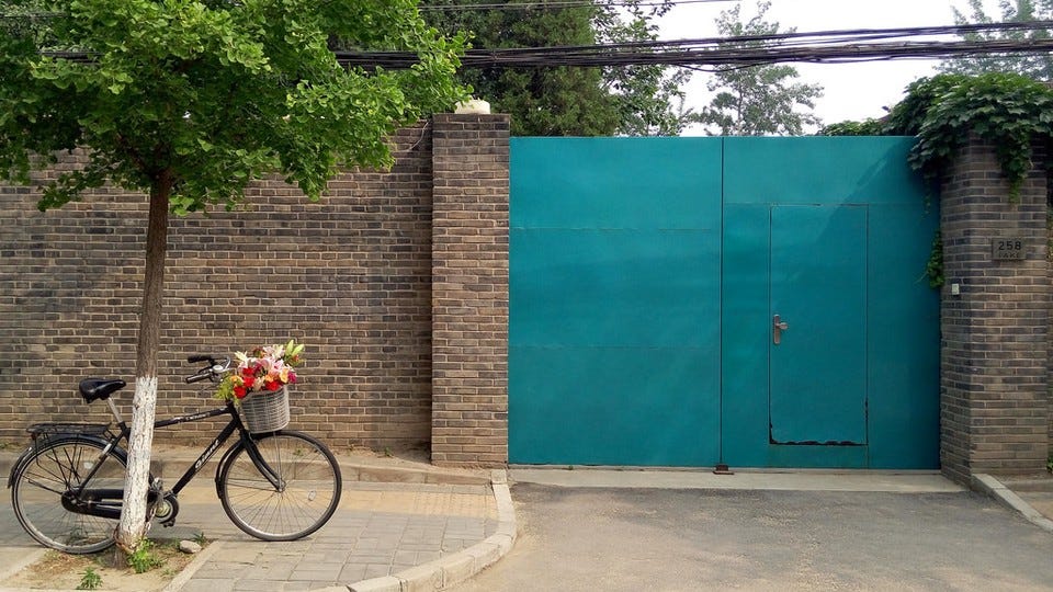 Image of a bike with a flower basket leaning gainst a tree, in front of a brick wall and locked gate