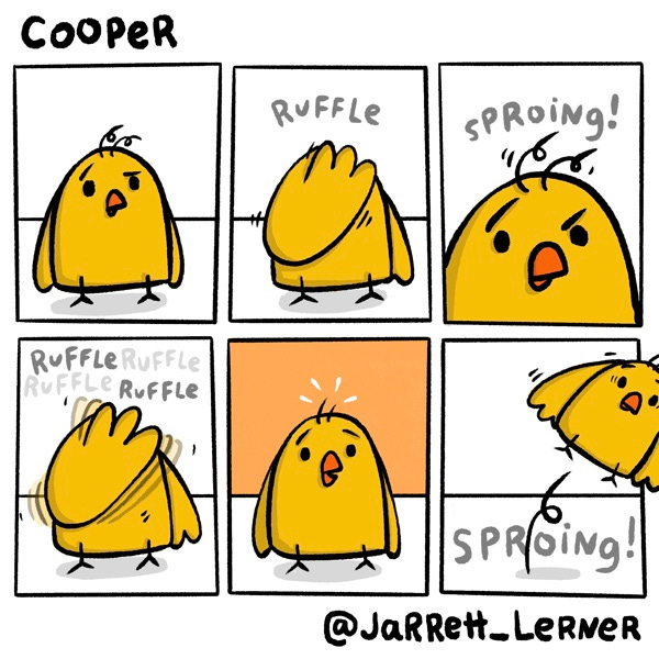 A yellow chick (Cooper) had two curly hairs sticking up on his head. He uses his wing to straighten them out. RUFFLE! But the hairs pop back up. SPROING! He furiously tries to straighten the hairs. RUFFLE RUFFLE RUFFLE RUFFLE! Finally, the hairs are straight and Cooper looks pleased. Then – SPROING! – Cooper bounces up and off the panel.