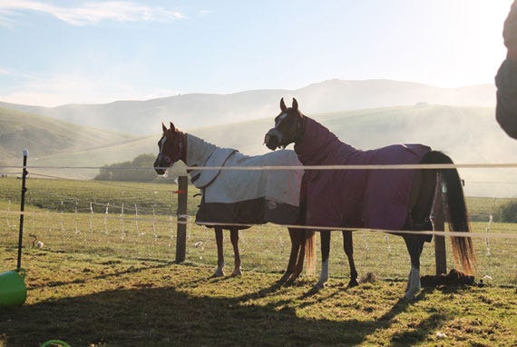 The boys on the morning of the ride,