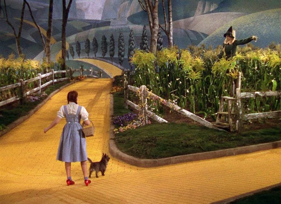 How I discovered the Yellow Brick Road. | by Peter Webber | Medium