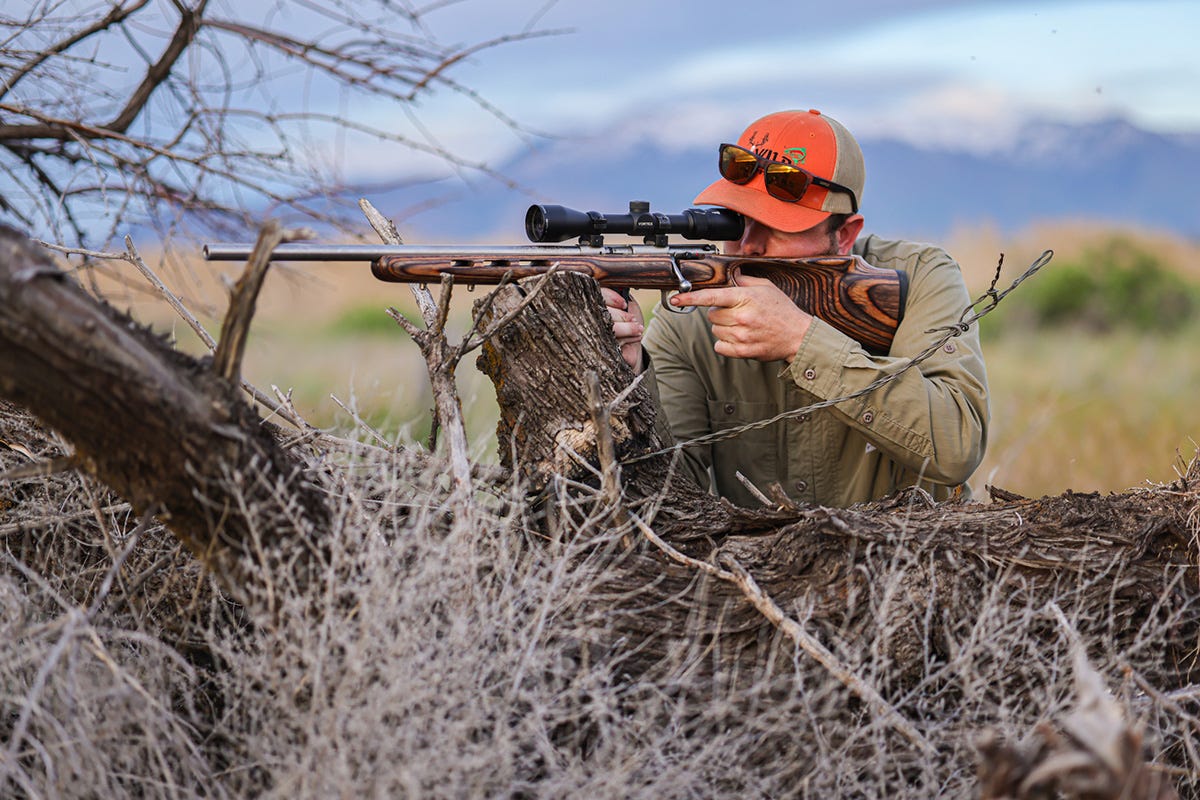 man leaning against fallen tree to help steady shot with rifle outdoors in wilderness