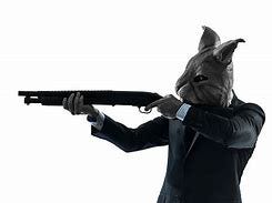 Image result for rabbit with the gun