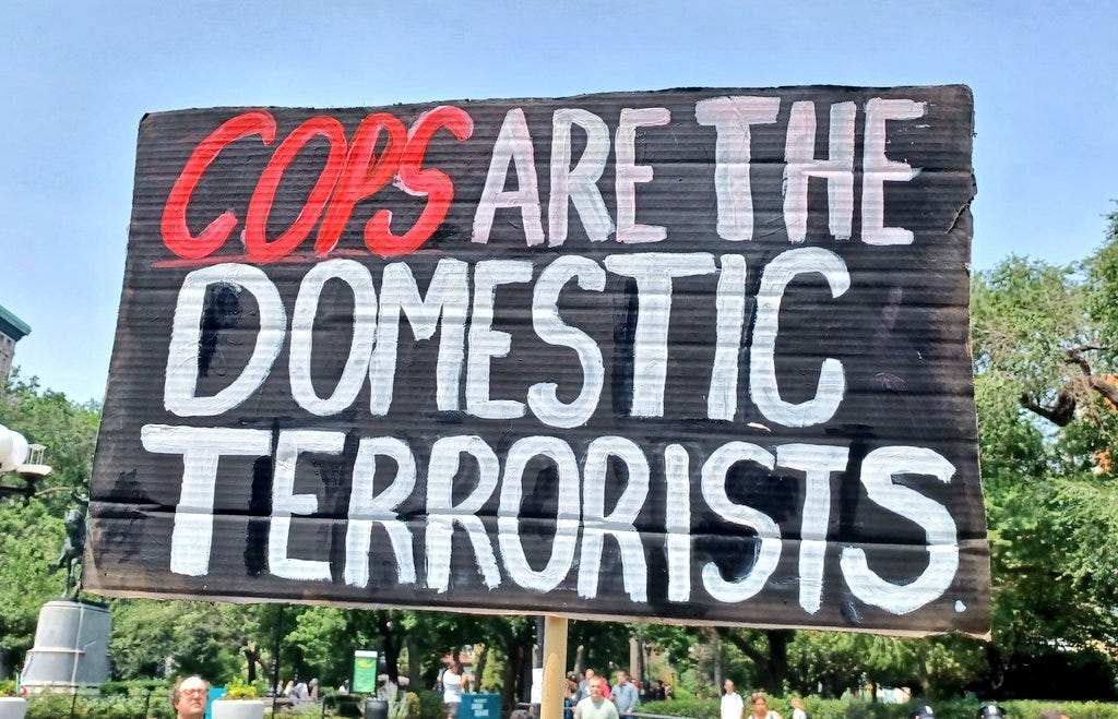 A photograph of a protest sign which reads, "Cops are the domestic terrorists"