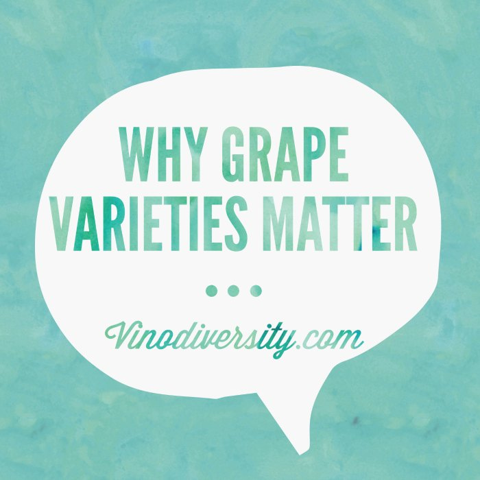 why grape varieties manner