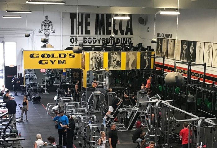 6 Life Lessons from Working at Gold's Gym Venice