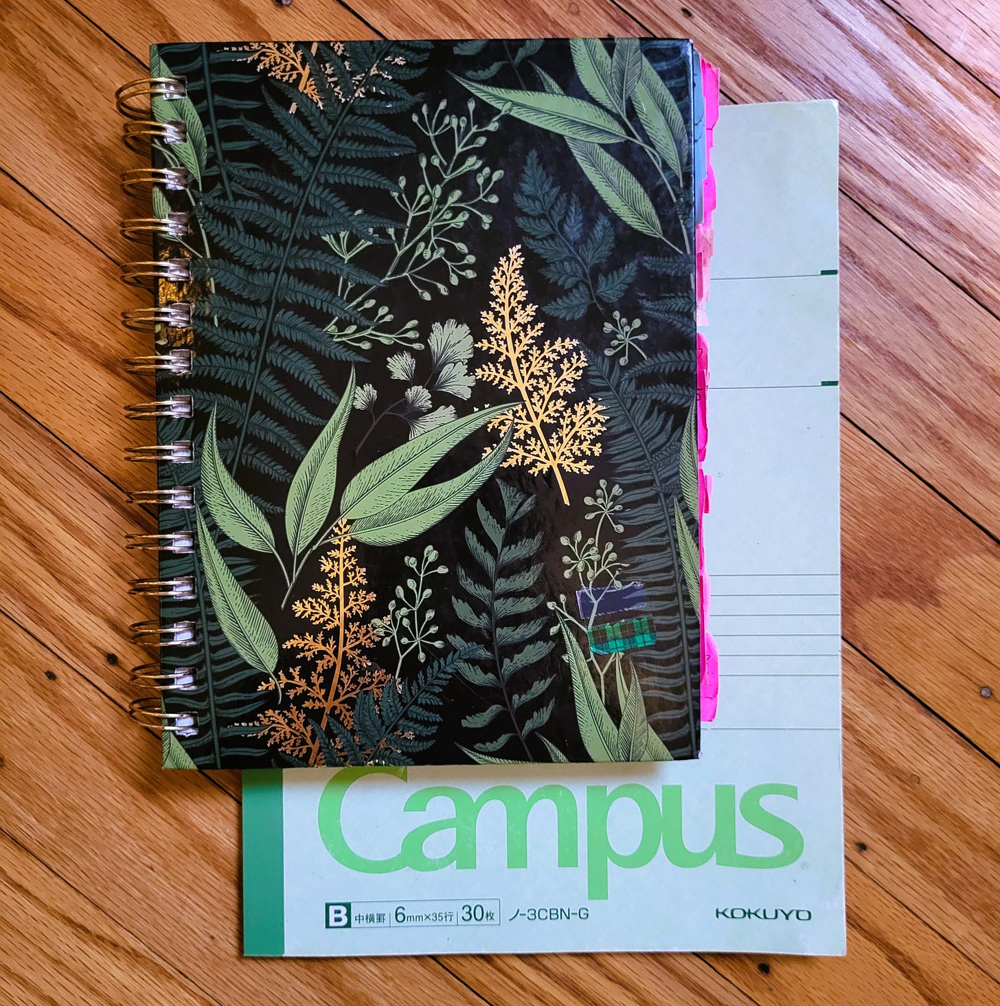 ID: Two green notebooks, one with leaves on it, in which I wrote my latest book. The top notebook has a bunch of hot pink sticky notes on the side, marking different fragments I wrote out of order. 