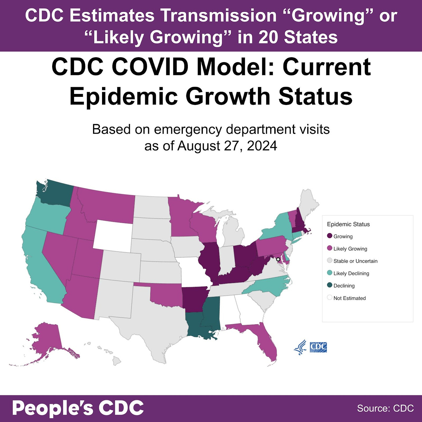 A map of the United States color-coded in shades of purple and gray displaying the CDC COVID Model: Current Epidemic Growth Status based on emergency department visits as of August 27, 2024, where purple tones indicate growing or likely growing, teal tones indicate declining or likely declining, and gray indicates “Stable or Uncertain.” States without predictions are represented in white. Text above the map reads “CDC Predicts transmission is ‘Growing’ or ‘Likely Growing’ in 20 states.” Six states are light teal and have “Likely Declining” status. Three states are a deeper teal and have “Declining” status, while twenty states have “Growing” or Likely Growing” Status. All other states and territories are either “Stable or Uncertain” or did not receive estimates. Text at the bottom reads “People’s CDC. Source: CDC.