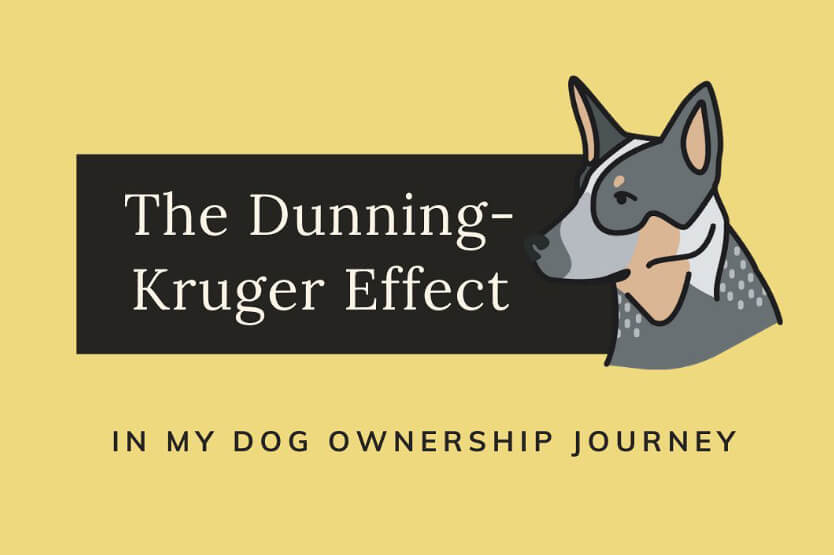 An illustration of Scout the Australian cattle dog next to a heading about the Dunning Kruger effect in my dog ownership journey