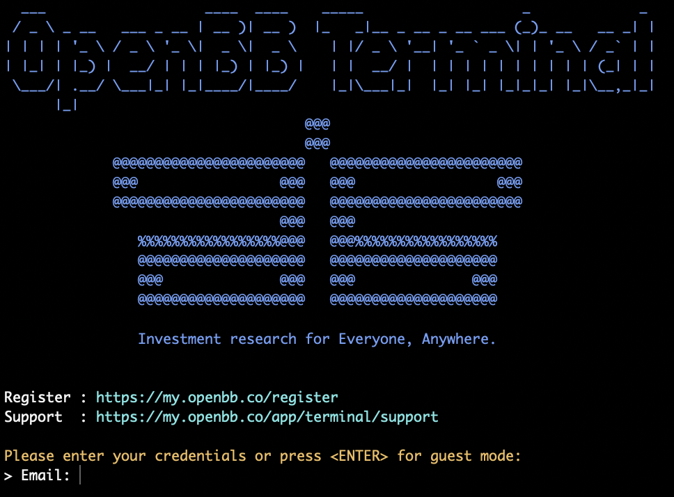 Login OpenBB Terminal (Screenshot by authors)