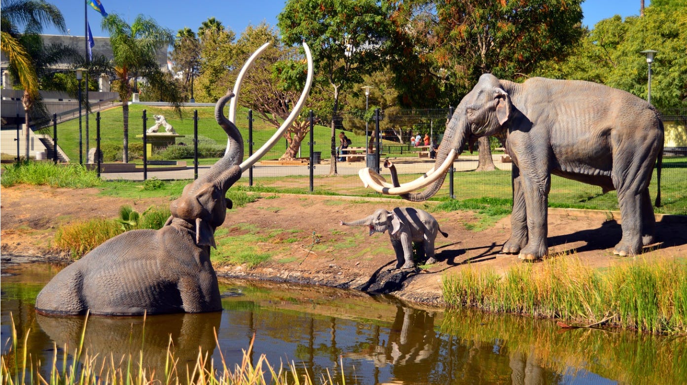 Tar pit with trapped mammoth at the La Brea Museum LA