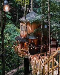 Hocking Hills Treehouse Cabins - Hemlock is our couples Treehouse that's  tucked down at the bottom of our gorge. Super secluded and immersed in  nature 🌲🪵#hockinghillstreehousecabins | Facebook