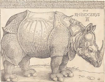 Dürer's Rhinoceros