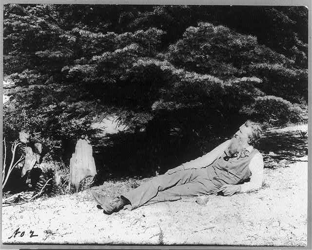 man with a beard stretched out on the ground beneath a tree