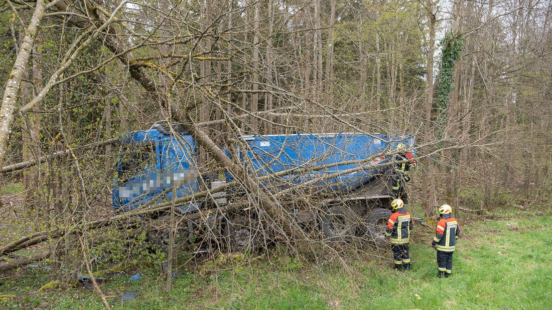 Deviated from the B12 and drove into the forest.  The truck driver died a short time later.