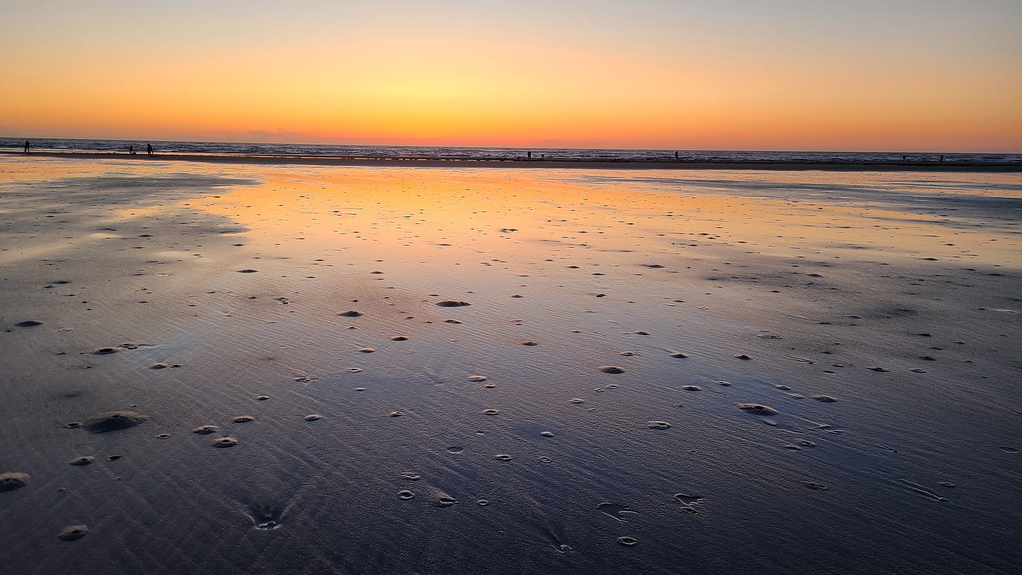 Grayland Beach, WA at sunset