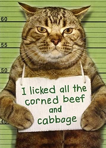 A card with cat mugshot reads, "I licked all the corned beef and cabbage."