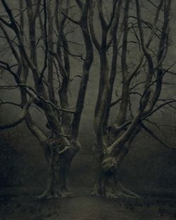 Pics Art, Enchanted Forest, Dark Fantasy, Dark Wood