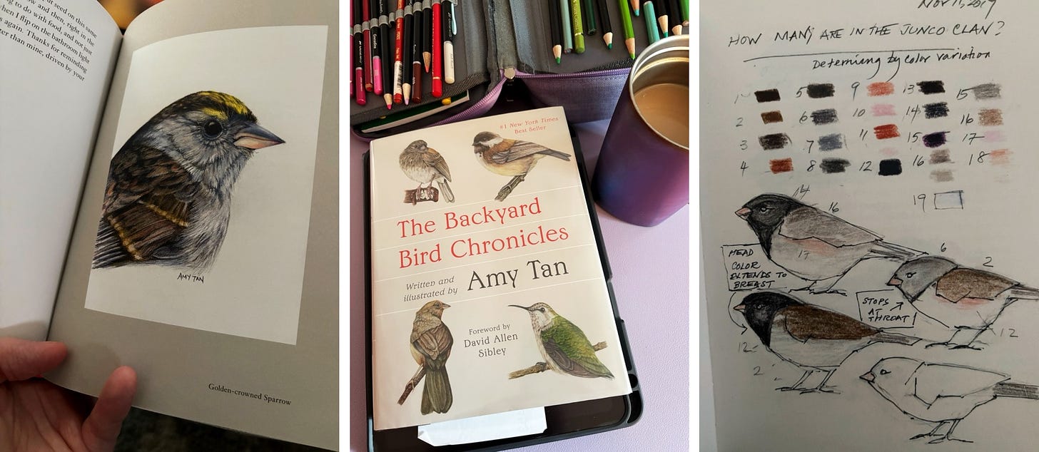 Images and book cover of Amy Tan's The Backyard Bird Chronicles