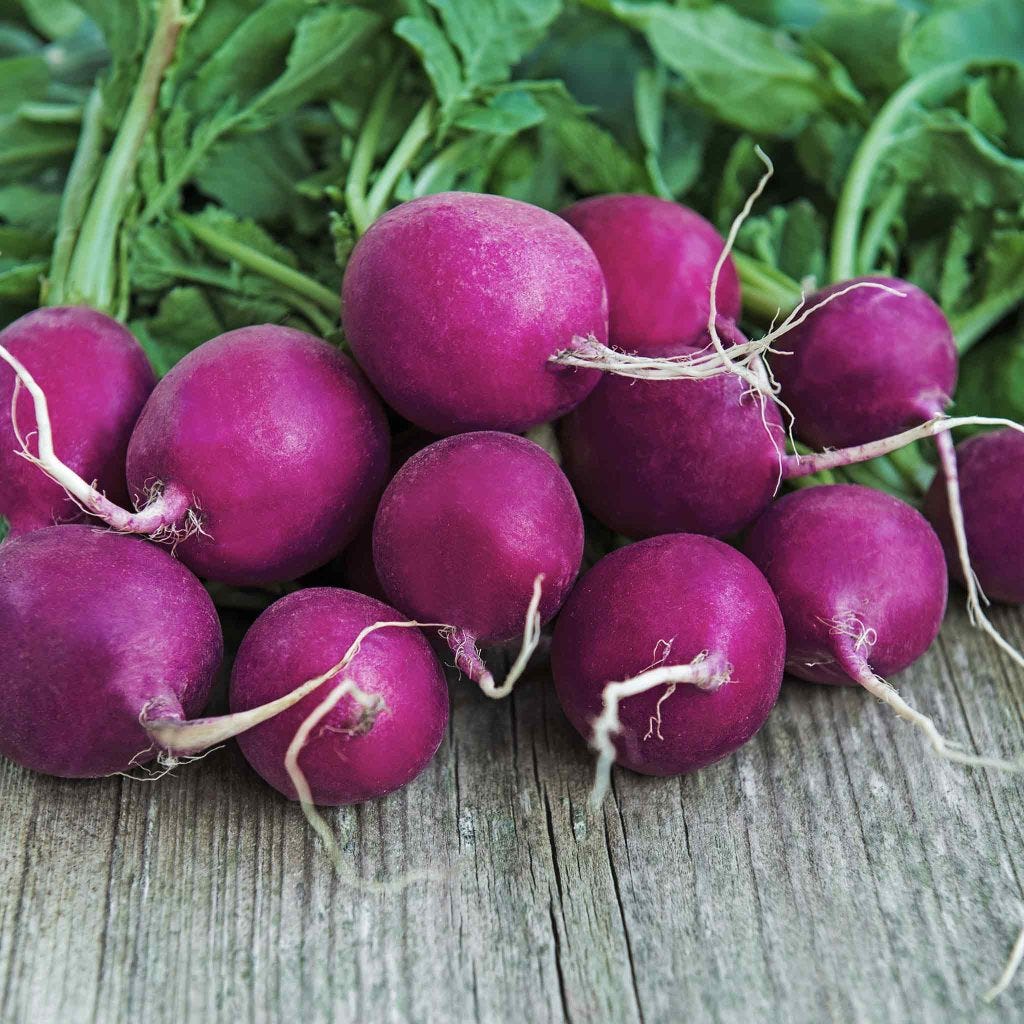 only sale 1.40 usd for Radish Seeds 'Purple Plum'