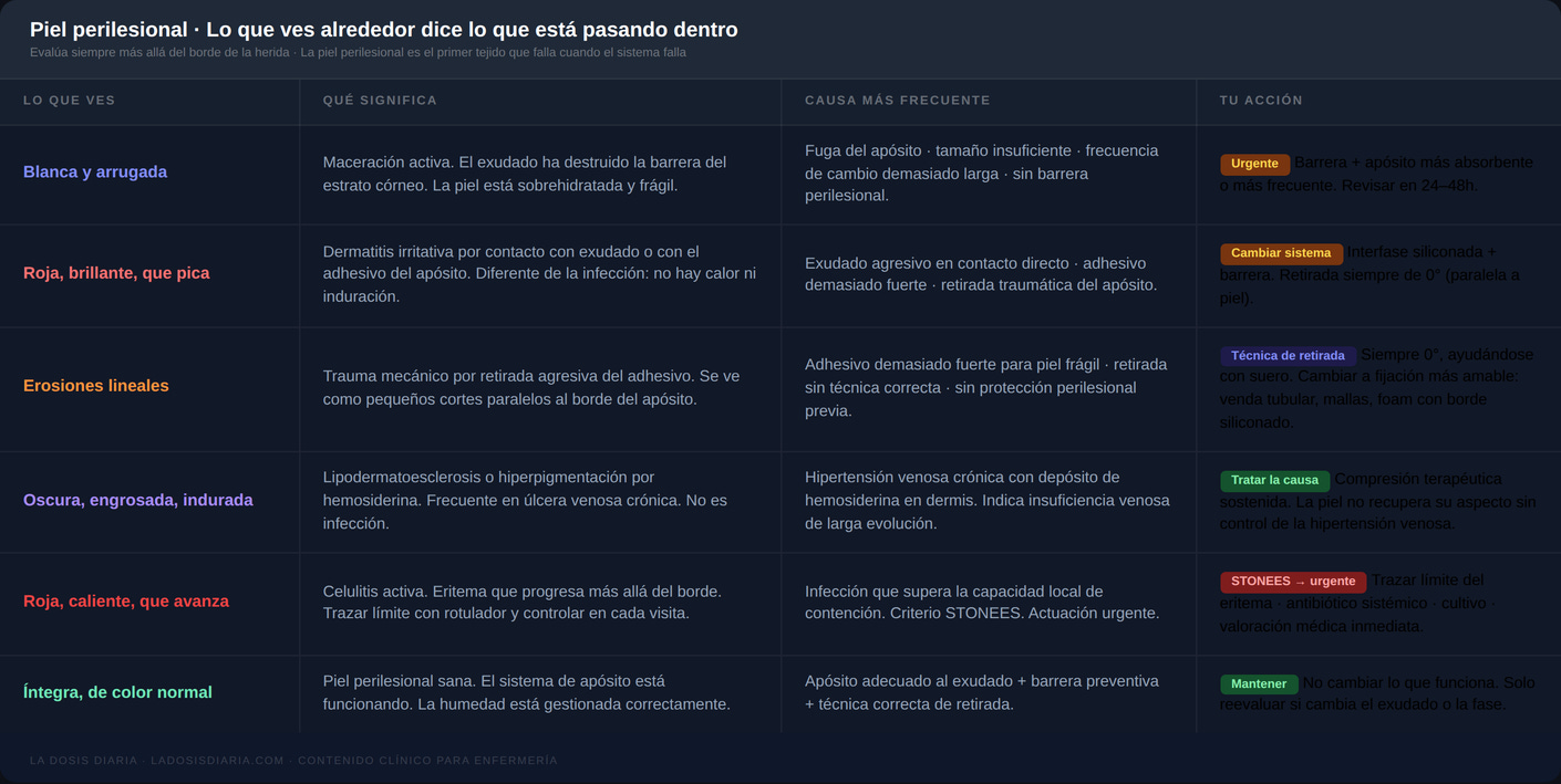 Evaluación de la piel perilesional — hallazgos y diagnóstico diferencial