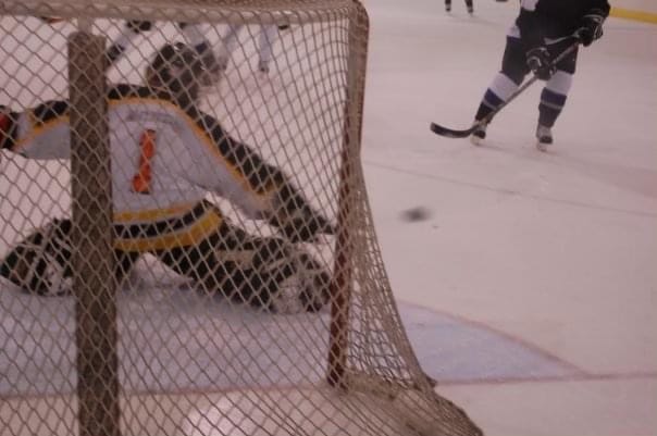 A picture of me from behind having just made a save during a hockey game.