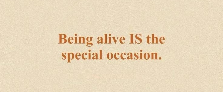 This may contain: an orange and white photo with the words being alive is the special occasion on it