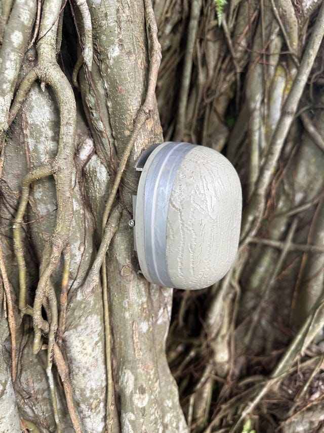 r/singapore - I’ve seen these attached to trees at a local park. Any ideas on what they are?