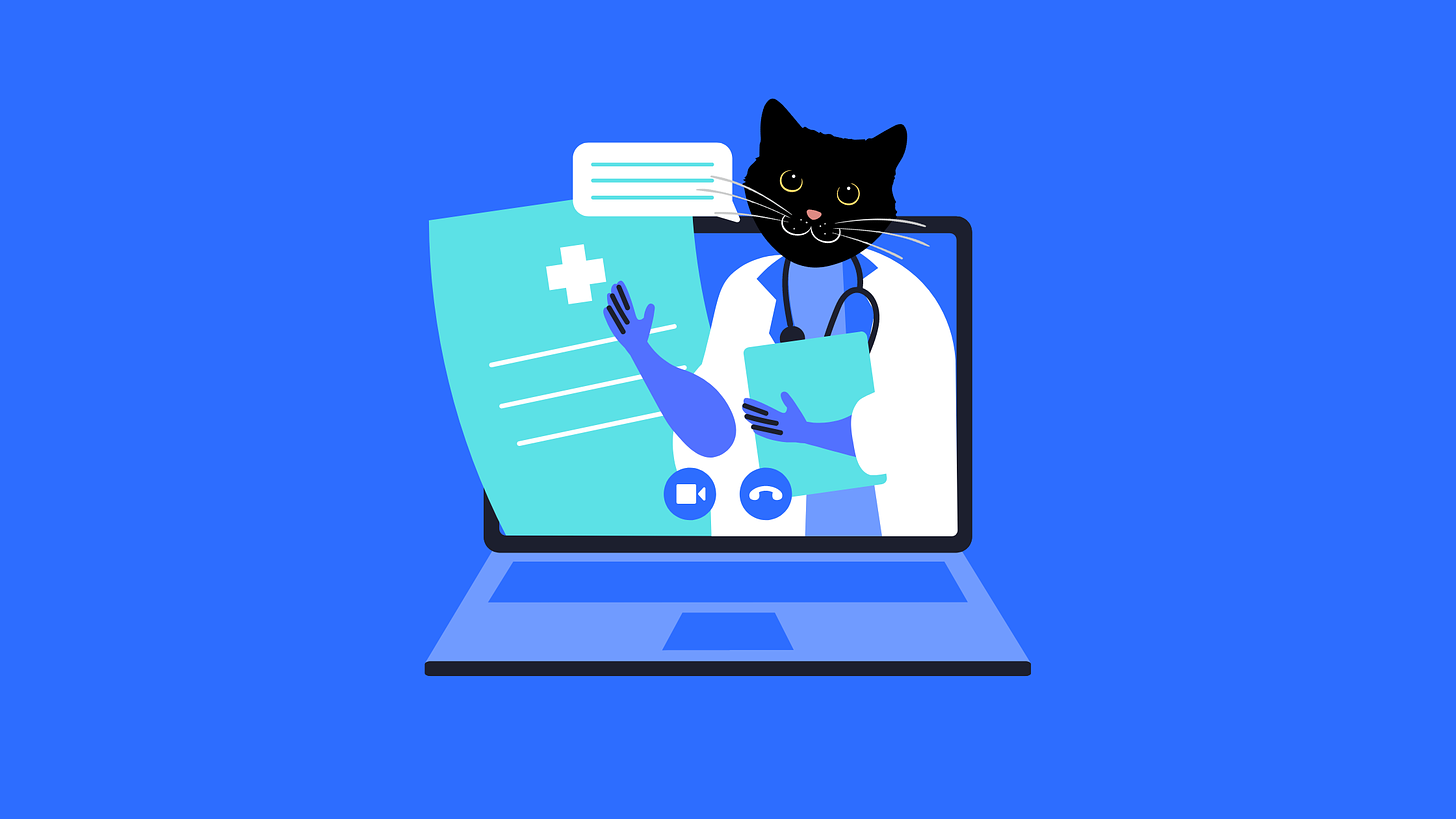 Image of cat doctor inside laptop computer