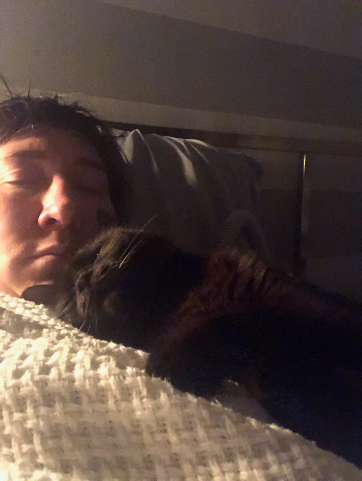 A woman snuggled up with a black cat over a white blanket