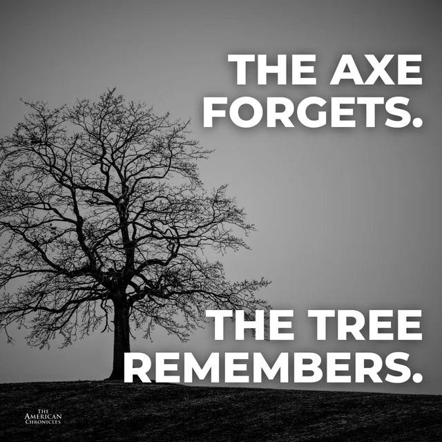 May be an image of tree and text