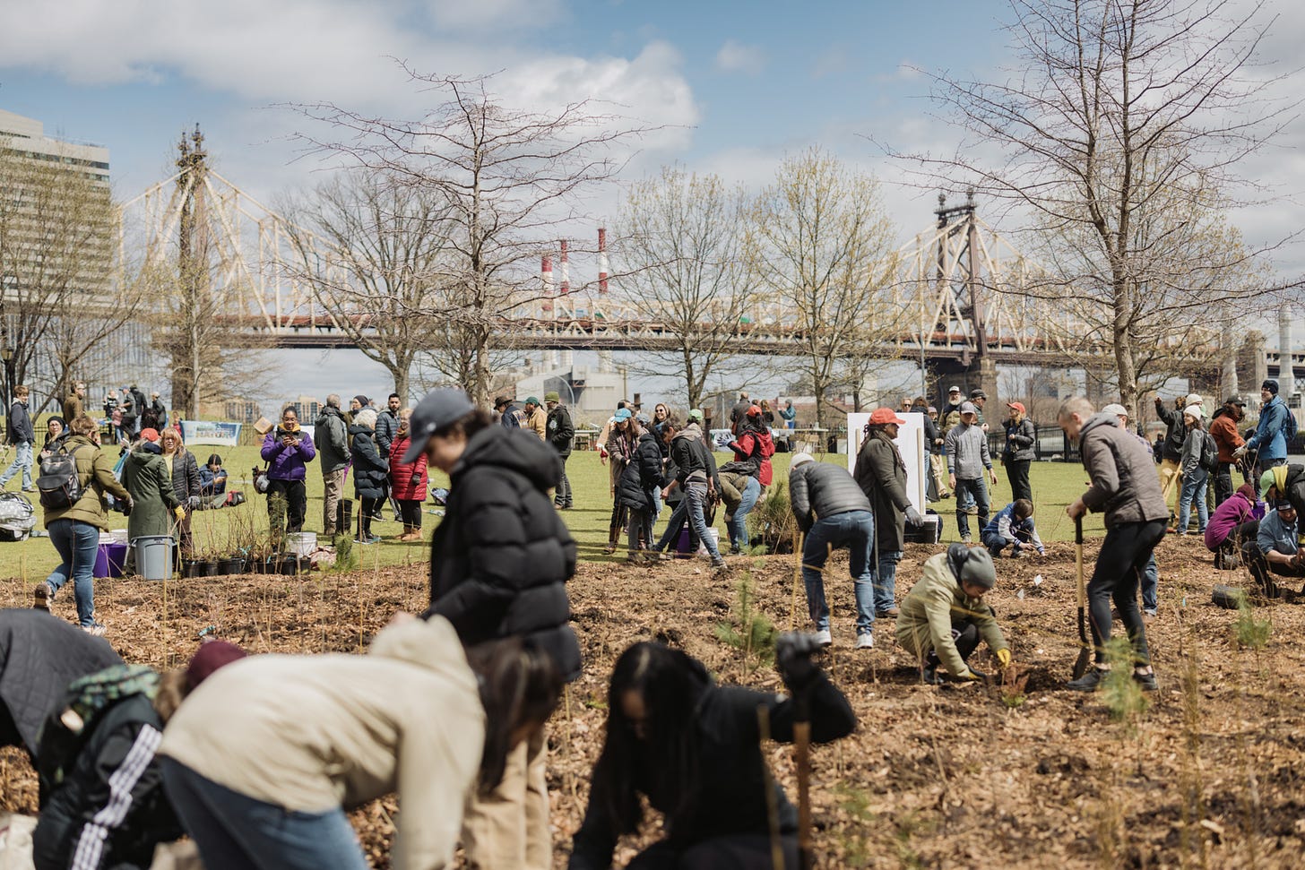 Manhattan Healing Forest in New York City, USA. Courtesy of SUGi.