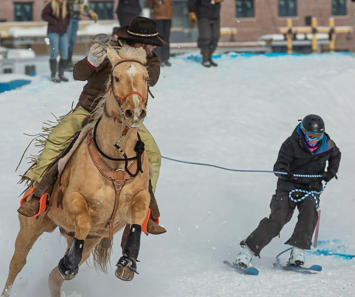 Skijoring in Driggs, Idaho