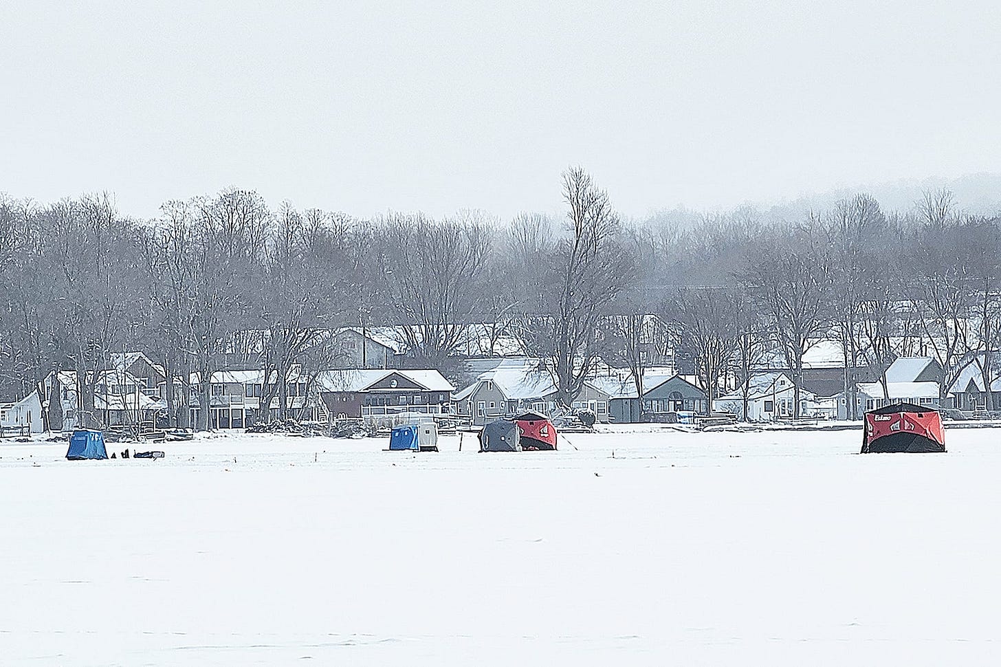 May be an image of arctic