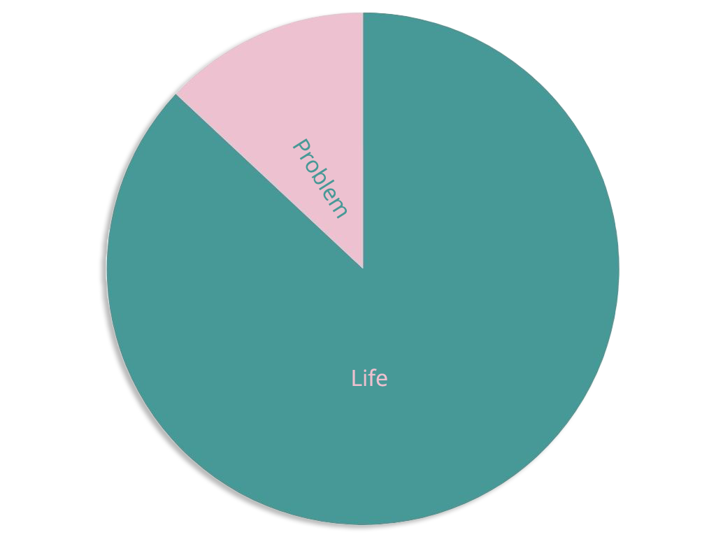 Pie chart that shows a chunk labled problem, and the rest of the pie taken up by life