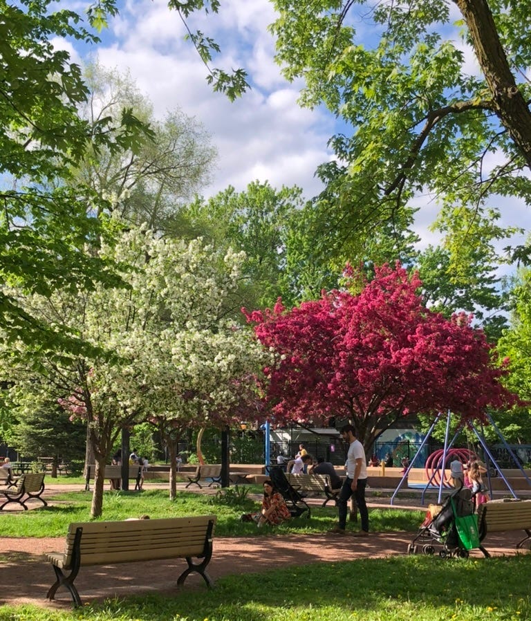 Des arbres en fleurs et un joli ciel de printemps font du parc Saint-Michel un endroit idéal pour passer du temps en famille.