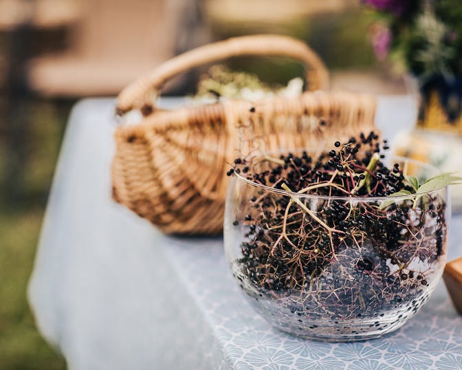 elderberries in bowl on table - making herbal remedies - learning to make herbal remedies - study herbs - herbs for immunity - DIY Immunity Herbal Remedy Kit and online Immunity Course | Everyday Empowered