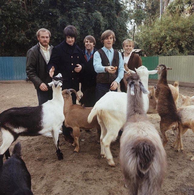 r/thebeachboys - Pet Sounds Photoshoot (1966)