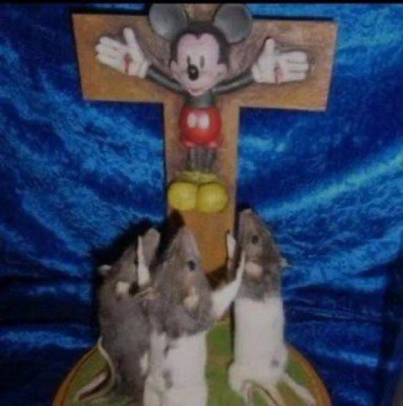ID: a few rats gather around and pray to an alter of Mickey Mouse as Christ.