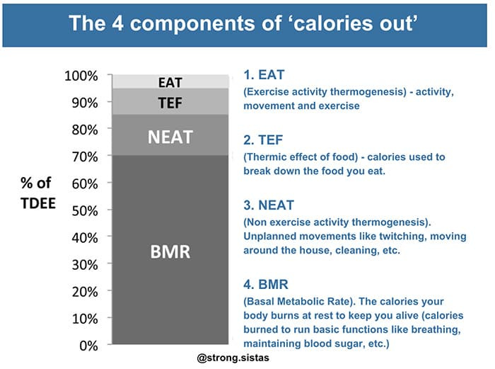 the four components of calories out