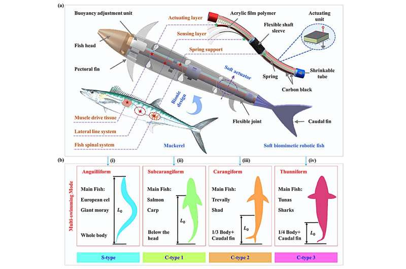 Soft robotic fish demonstrates advanced multi-mode swimming capabilities