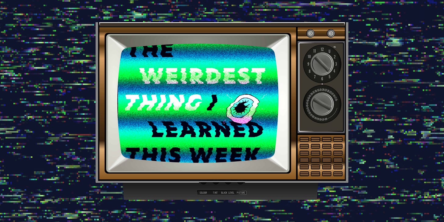 A static-filled background with an old-fashioned brown TV. The TV screen shows a static-filled, warped version of the logo for the podcast The Weirdest Thing I Learned This Week, which features a cartoon eyeball
