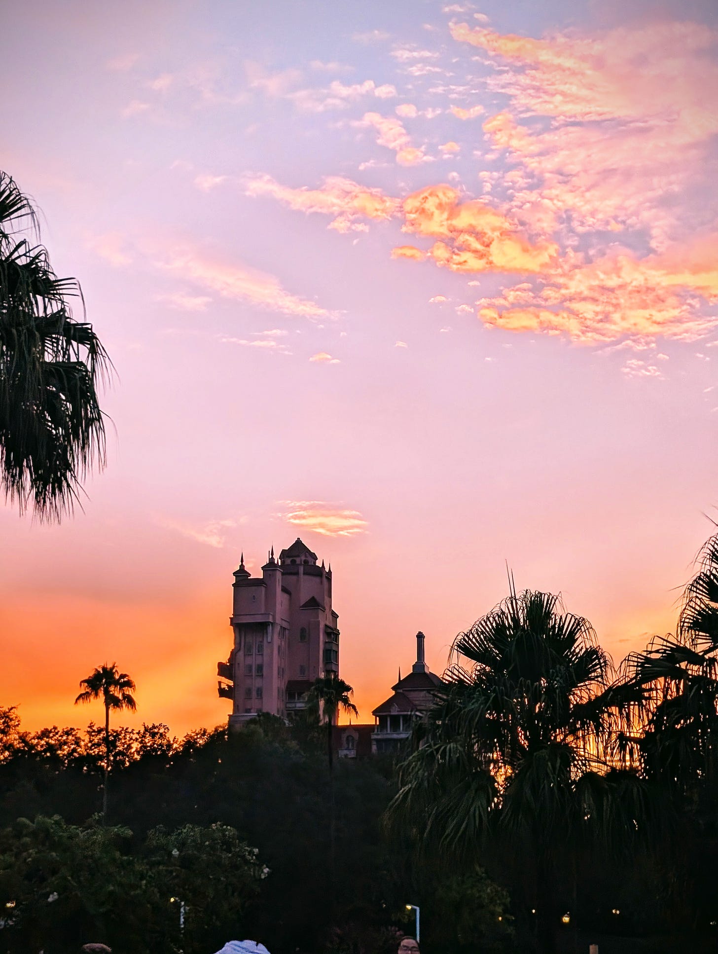 Tower of Terror at sunset