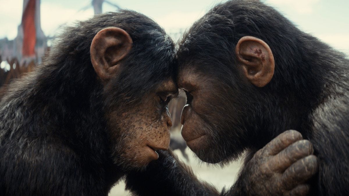 Kingdom of the Planet of the Apes review - a strong return